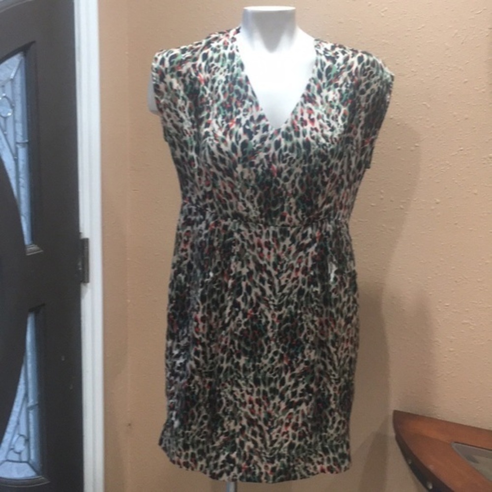 Kaitlyn Animal print dress